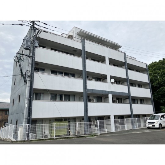 チェリーブロッサムⅢ