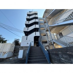 クレアート黒髪 (0501)