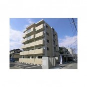 アルテミス帯山