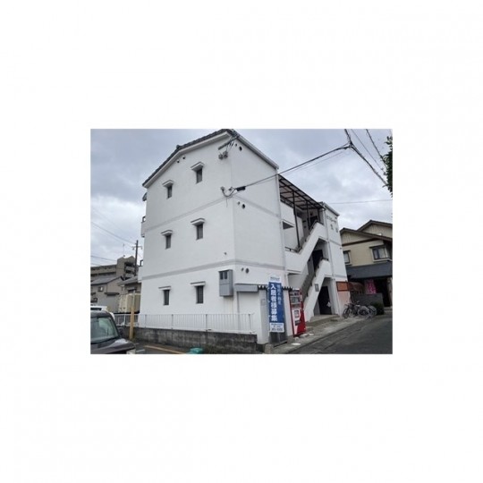 セントポーリア渡鹿