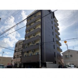 アビタシオン黒髪 (0504)