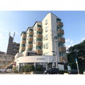 リバーサイドルミカ