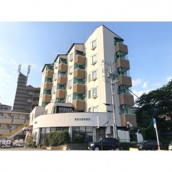 リバーサイドルミカ