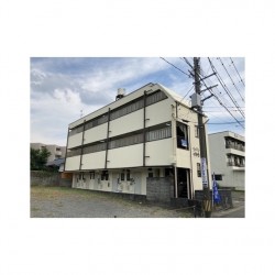 ジュネスイトウ (0305)