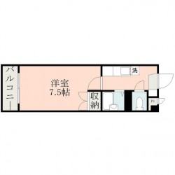 サクセス黒髪 (0305)