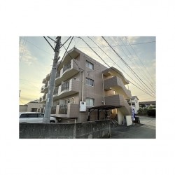 ロワイヤルグレイス