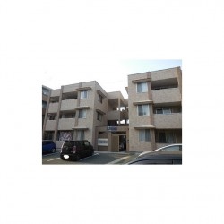 EXE神園A棟 (0101)