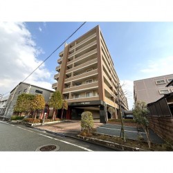 コアマンションフェスティオ平成 503号