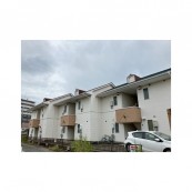 セントポーリア89