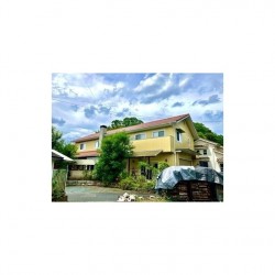 ゴンジーノ (0201)