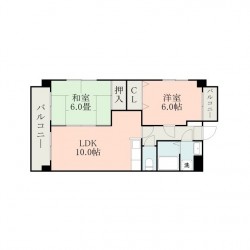 マーカス菊南 (0203)