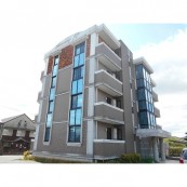 アニバーサリー50