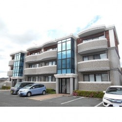 アニバーサリー25