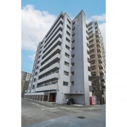 ライズ代継橋 (1002)