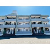 ベルファン江津