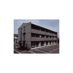 レオパレス武蔵ヶ丘 (0101)