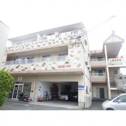 オレンジ ウッド