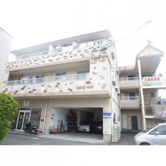 オレンジ ウッド