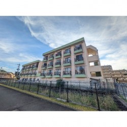 ロマーノ花園 (0301)