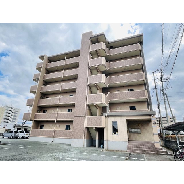 サンサンフラワー菊陽