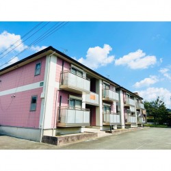 ロイヤルフラワー