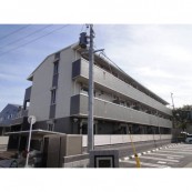 アザックけやき通り