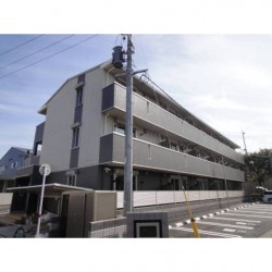 アザックけやき通り