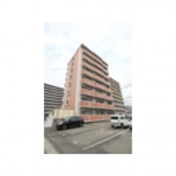 アルリシャー菊陽 (0702)