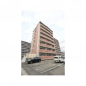 アルリシャー菊陽