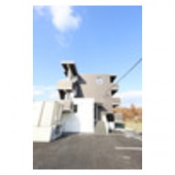 カリーノ杉水 (0302)