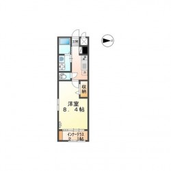 Bluebell 菊陽 (0206)