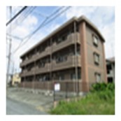 Ciruela須屋