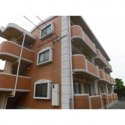 チェリーブランチ (0303)