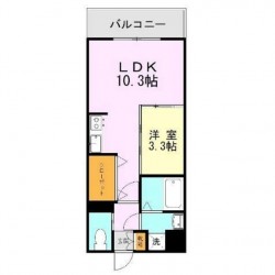 ラフレシーサ水前寺 (0502)