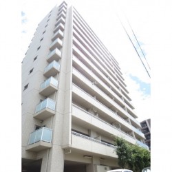 サーパス新屋敷東街区 204号