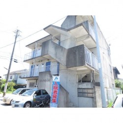 フィオーレ国府 (0203)