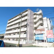 アンビシャス月出