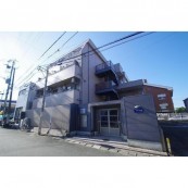アンプルール新屋敷