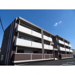 Saison・Reiwa (0303)