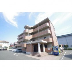 グレイスフル光の森