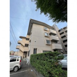 MAISON M