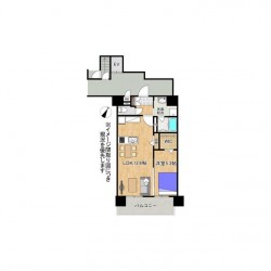 Paradiso大津A棟 (1101)