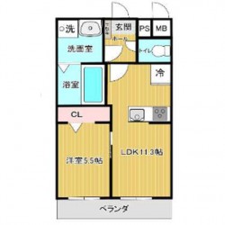 スター菊陽 (0103)