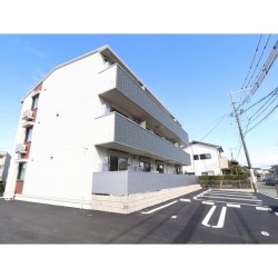シルクローズ (0303)