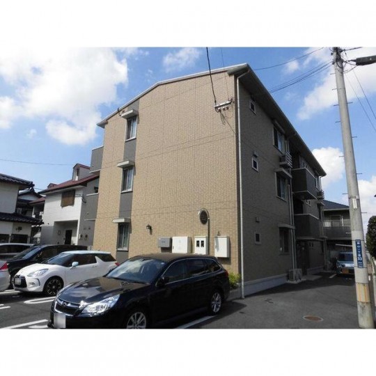 アゲラータム