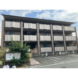 コートクロッカス
