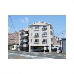 Reve光の森西
