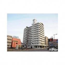 ライオンズマンション藤崎宮前 205号