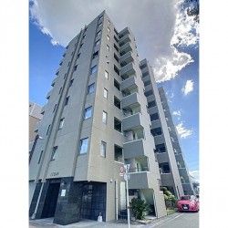 CEDAR(シーダー) (0606)