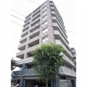 アヴィニール京町 501号